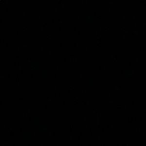 Meet your Posher, Kittumz